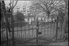 23245-1-3 Toegangshek van de algemene begraafplaats aan de Ringdijk - Peppelweg, die tot 1951 in gebruik was.