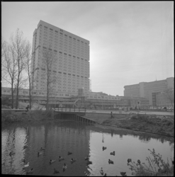 24543-1-6 De gebouwen van de Medische Faculteit aan de Westzeedijk, gezien vanaf Melkkoppad. Op 08-11-1973 zal Koningin ...