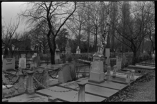 24585-1-3A Graven op de Algemene Begraafplaats Crooswijk.