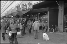 24616-7-32 Drukte op de Coolsingel bij Cineac Beurs in verband met de vertoning van de Disneyfilm 101 Dalmatiërs.