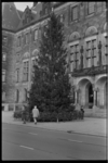 25139-6-20 De Noorse kerstboom voor het stadhuis aan de Coolsingel.