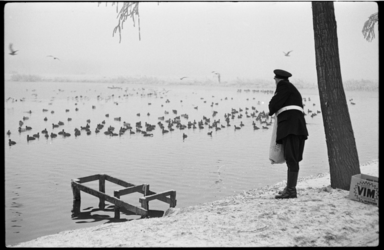 3040-1 Weersomstandighedenfoto van politieagent die op een sneeuwrijke locatie zwemmende eenden voedert.