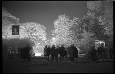 3041-1 Avondfoto van witte rijp op door lampen verlichte bomen met publiek.