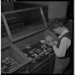 3326-1 Jongen bewondert een schelp tijdens een tentoonstelling (A . Soerink) in het Natuurhistorisch Museum.