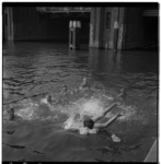 3491-1 Jongens zwemmen in de Delfshavense Schie. Op de achtergrond de Mathenesserbrug.