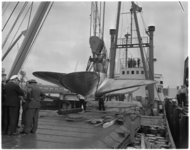 3570-1 De grootste CuNial-schroef ter wereld wordt in de Waalhaven bij pier 1 door drijvende bok 'Pionier' aan boord ...