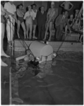 358 Een 'slachtoffer' wordt gered tijdens een demonstratie van de Rotterdamse Reddings Brigade in het Oostelijk Zwembad.