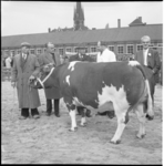 4076-3 Commissaris der koningin Mr. J. Klaasesz (tweede van links) en wethouder J.U. Schilthuis (rechts) op de veemarkt ...