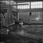 4117-2 Zwemwedstrijden in het Sportfondsenbad aan de Van Maanenstraat in het kader van de 16e scholierenontmoeting ...