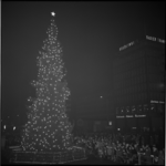 4772-3 De verlichte kerstboom uit Oslo staat op de Coolsingel.