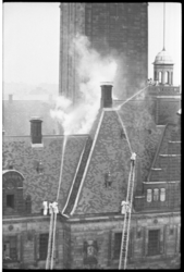 4936-1 Rook op de dakbedekking van het stadhuis- boven de Burgerzaal.