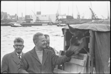 5314 Dr. E. Lang,(midden), Blijdorp-diereninspecteur Van Doorn (links) en Blijdorp-hoofdoppasser Janus van den Berg bij ...