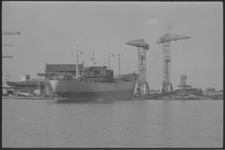5496 KPM-schip 'Hollands Duin' glijdt in Krimpen aan den IJssel bij scheepswerf C. van der Giessen, van de helling.