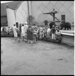 6630 Jonge bezoekers op schoolreis in Diergaarde Blijdorp; bij het buitenverblijf van de beren.