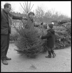 7289 Vrouw en een jongetje zijn een kerstboom aan het uitzoeken.