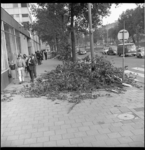 7458 Afgerukte takken van de bomen aan de Mauritsweg voor AMVJ-gebouw als gevolg van storm.