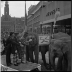8170-1 Actie Bezemschoon met olifanten van circus Sarrasani op het Stadhuisplein.