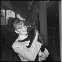 8288 Dame houdt een zwarte poes in haar armen op de kattententoonstelling in de Rivierahal.