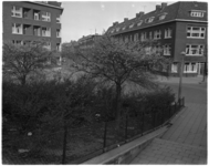 996 Bloeiende bomen aan de Mathenesserdijk, hoek Balkenstraat en Nicolaas Beetsstraat.