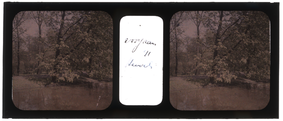 26-1-5 Een stereofoto, autochroom, van Het Park, landgoed De Heuvel.