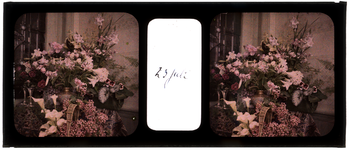 26-22-46 Stereofoto, autochroom, van een bos bloemen in de woning van de familie Stahl - Van Hoboken.