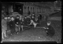 THO-1094 Op een grasveld op het Burgemeester Hoffmanplein op het Noordereiland springen kinderen over een touw.