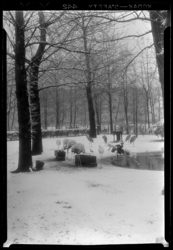 THO-1101 Kraanvogels en flamingo's lopen in de sneeuw in diergaarde Blijdorp aan de Van Aerssenlaan.