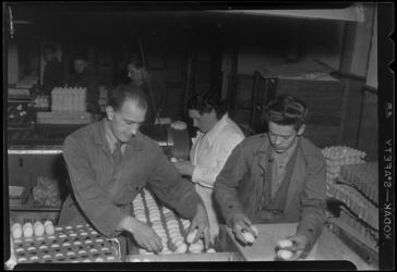 THO-179 Bij Olivier's Eieren Centrale aan de Schalk Burgerstraat 24-26 pakken werknemers gesorteerde eieren in.