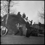THO-1902 Een groep mannen laden kerstbomen uit in de Teilingerstraat. De bomen worden daarna gereedgemaakt voor verkoop.