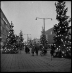 THO-1916 Op het Stadhuisplein staan verlichte kerstbomen. Gezien vanaf de Coolsingel in de richting van de Korte Lijnbaan.