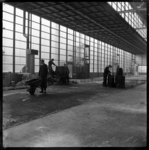 THO-1917 Bouwvakkers leggen een bitumen vloer bij de bouw van de Energiehal aan de Wytemaweg. In de nieuwe sporthal ...