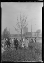 THO-322 Burgemeester G.E. van Walsum en mevrouw van Walsum-Quispel planten een bevrijdingsboom in de omgeving van het ...
