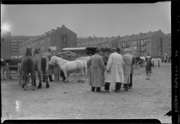 THO-477 Boeren en handelaren staan op terrein van de Veemarkt. Op het terrein staan paarden en koeien. Op de ...