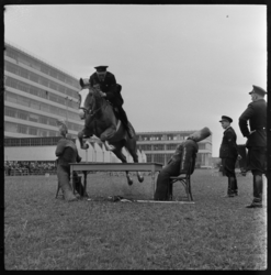 THO-487 Politieagenten geven een demonstratie met paarden op het terrein achter de Van Nelle fabriek bij de Schuttevaerweg.
