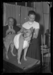 THO-740 Een deelnemer van EHBO-cursus voor huisdieren verbindt een hond tijdens een cursus door dierenarts Boom. De ...