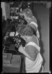 THO-972 Laboranten van een laboratorium in het Sophia Kinderziekenhuis aan de Gordelweg bekijken monsters met een microscoop.