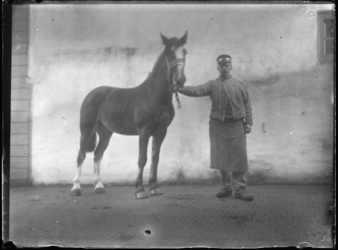 2007-2565-02 Een paard en zijn begeleider op de wagenplaats van de firma Tromp en Rueb, Azijnmakerij 'De Dubbele ...
