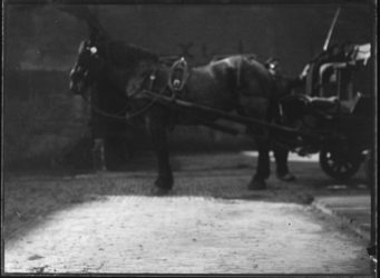2007-2565-06 Een voor een wagen gespannen paard op de wagenplaats van de firma Tromp en Rueb, Azijnmakerij 'De Dubbele ...