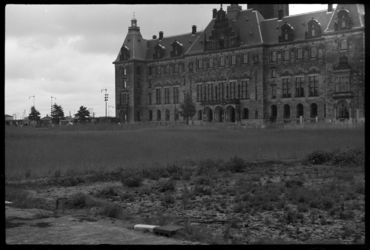1980-5462 Een tarweveld op het gebied tussen Coolsingel, Kruiskade en Aert van Nesstraat. Op de achtergrond het ...