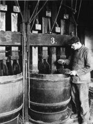 1968-2483 Het fijnhakken van carotten met hakmessen in de draaiende tonnen van de molen 'De Ster' aan de Plaszoom.