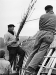 1969-1025 Het rietdekken op de molen 'De Ster' aan de Plaszoom.