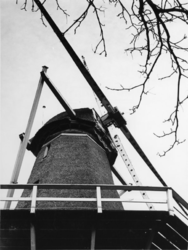 1969-934 Het bovendeel van de molen De Lelie aan de Plaszoom.
