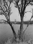 1969-953 De Kralingse Plas met op de achtergrond molen De Ster in herbouw.