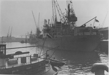 1970-1280 Merwehaven met schepen en hijskranen.
