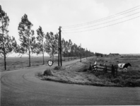 1972-1568 De Capelseweg ter hoogte van de Ommoordseweg.