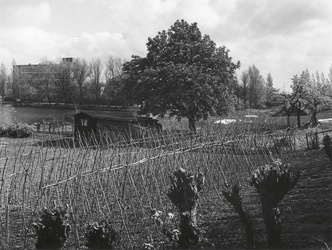 1973-1349 Het Wiel en omgeving, gezien uit het noorden, vanaf de Schulpweg.