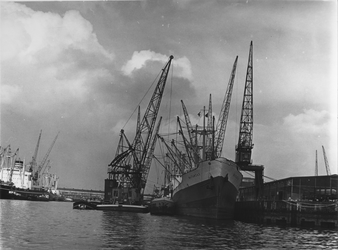 1974-888 Merwehaven met schepen en hijskranen. Rechts het vrachtschip Matanzas aan de kade bij Corn. Swarttouw.