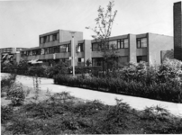 1975-1317 Woningen, vanaf de achterzijde Meidoorn tot aan de Nieuwe Ommoordseweg. Op de achtergrond de Robert Kochplaats.