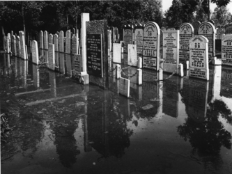 1976-2069 De door een dijkdoorbraak bij de Van Brienenoordbrug overstroomde Israëlitische Begraafplaats aan het Toepad.
