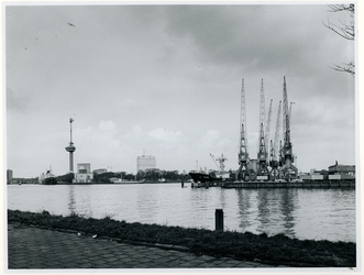 1977-366 Zicht vanaf het Charloisse Hoofd op de Nieuwe Maas, op de voorgrond de monding van de Maashaven, in het ...